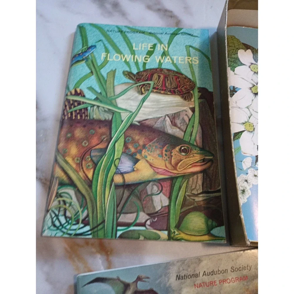 Vintage Nature Programa‎ Prehistoric Life Flowering Trees and Shrubs Collectible - Picture 5 of 16